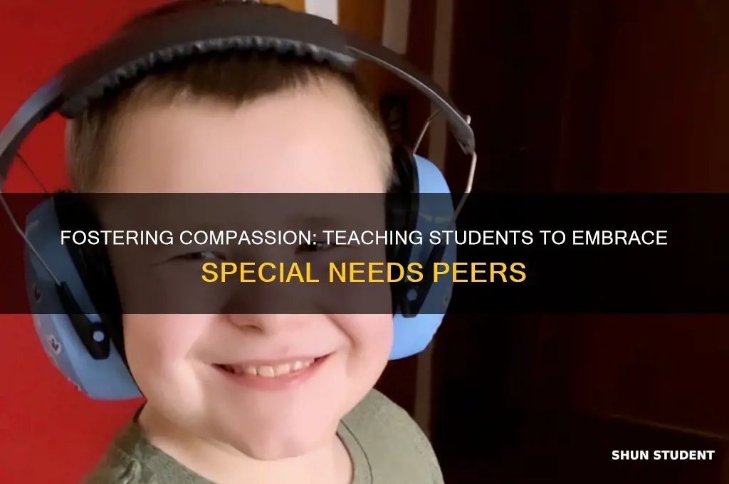 how to teach students to be kind to special needs