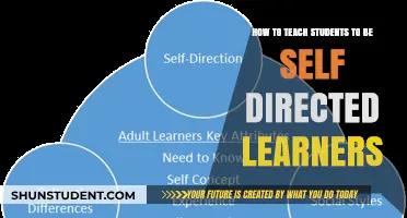 Empowering Students: Strategies for Cultivating Self-Directed Learning Skills