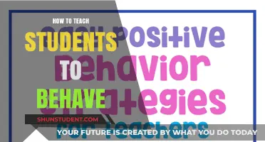 Effective Strategies for Teaching Students Positive Behavior and Discipline
