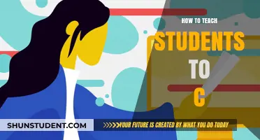 Mastering C: Effective Strategies for Teaching Students Programming Skills