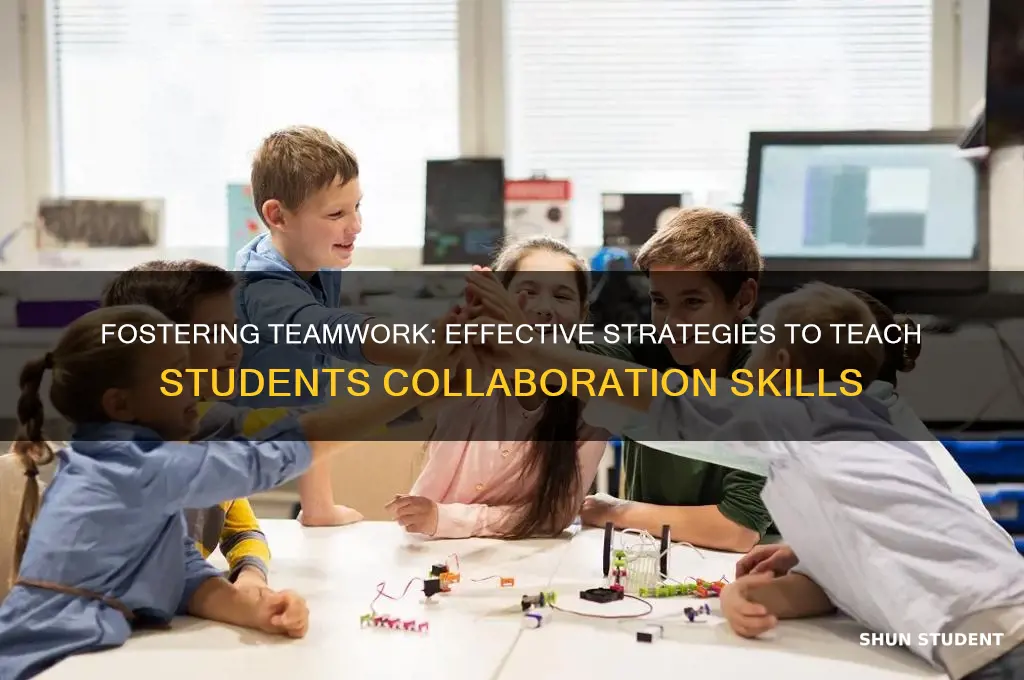 how to teach students to collaborate