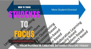 Mastering Focus: Effective Strategies for Engaging and Teaching Students