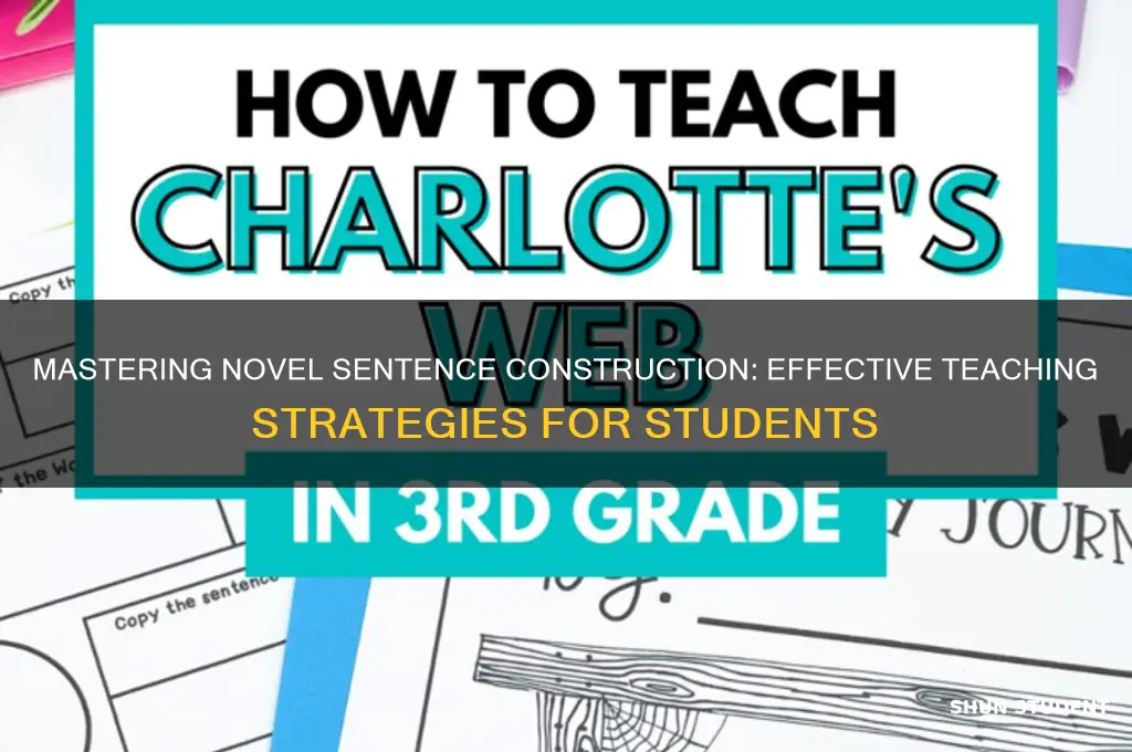 how to teach students to general novel sentences