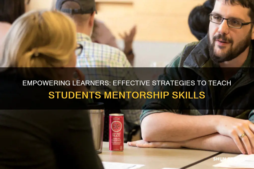 how to teach students to mentor