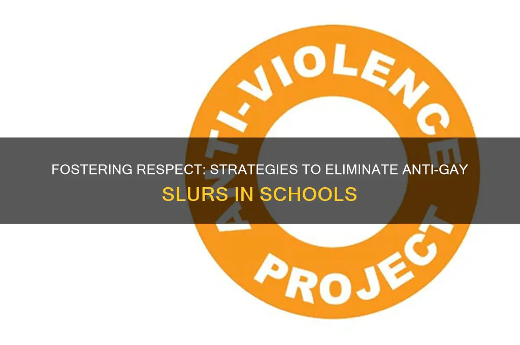 how to teach students to not use gay slur