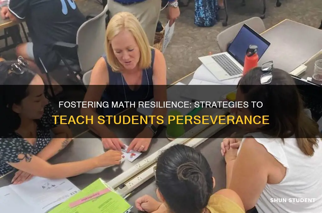 how to teach students to persevere in mathematics