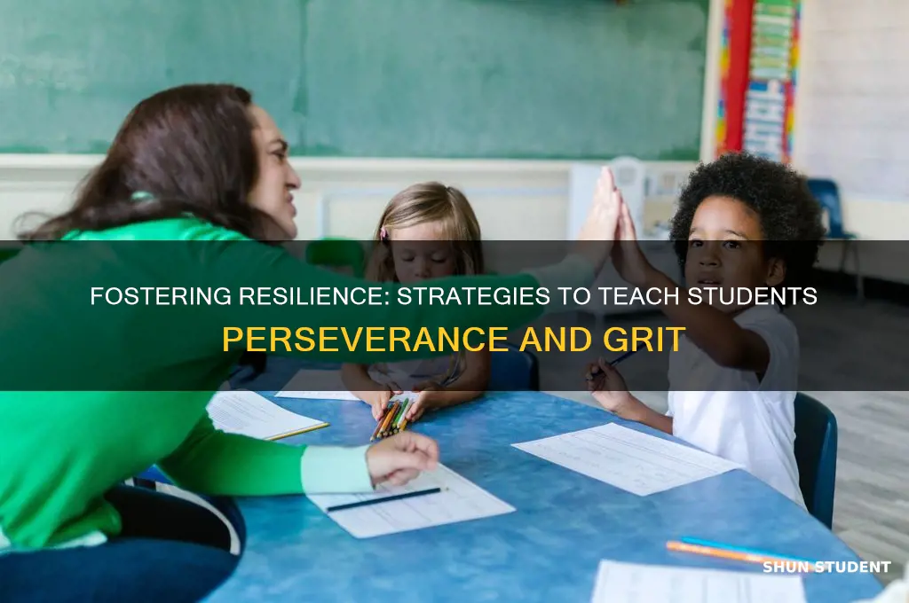 how to teach students to persevere