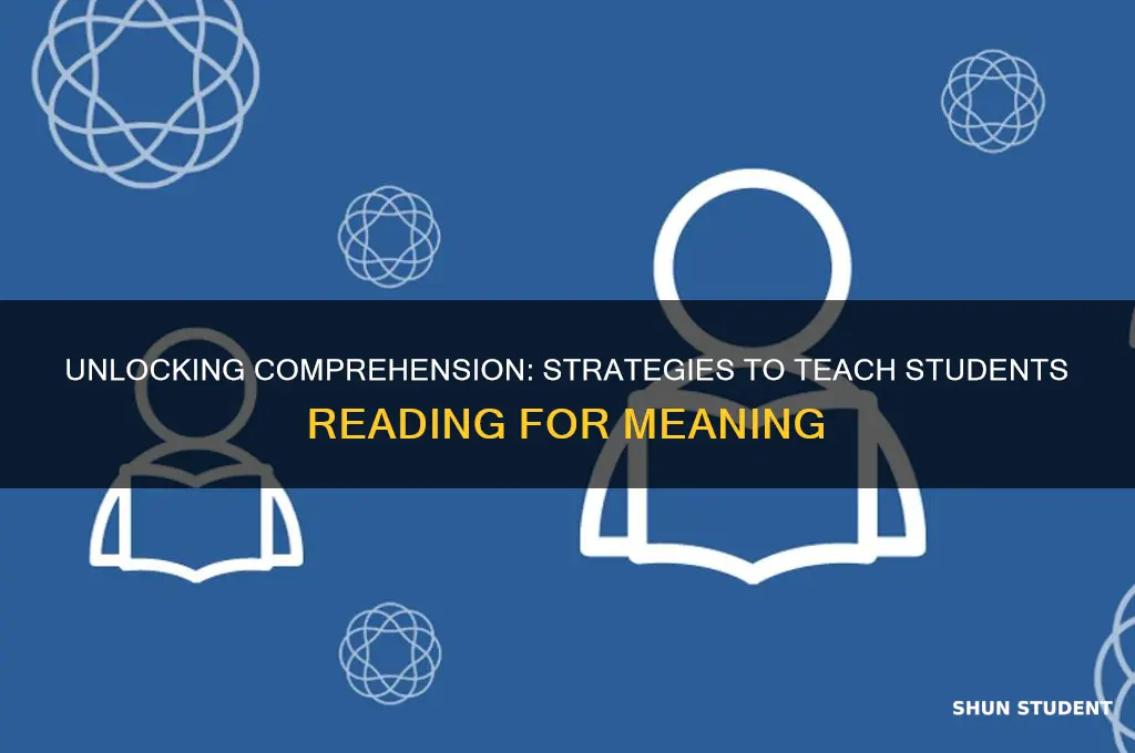 how to teach students to read for meaning