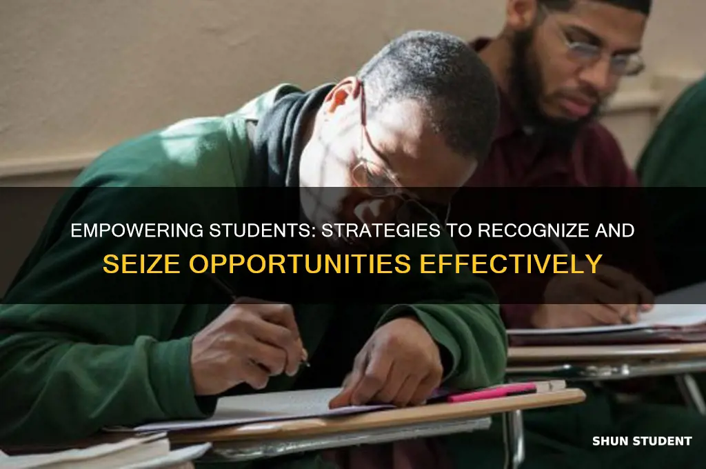 how to teach students to seize opportunites