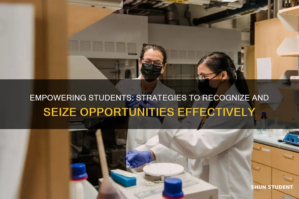how to teach students to seize opportunities