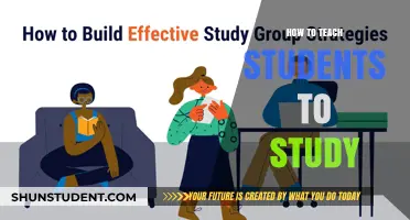Effective Study Strategies: Empowering Students for Academic Success
