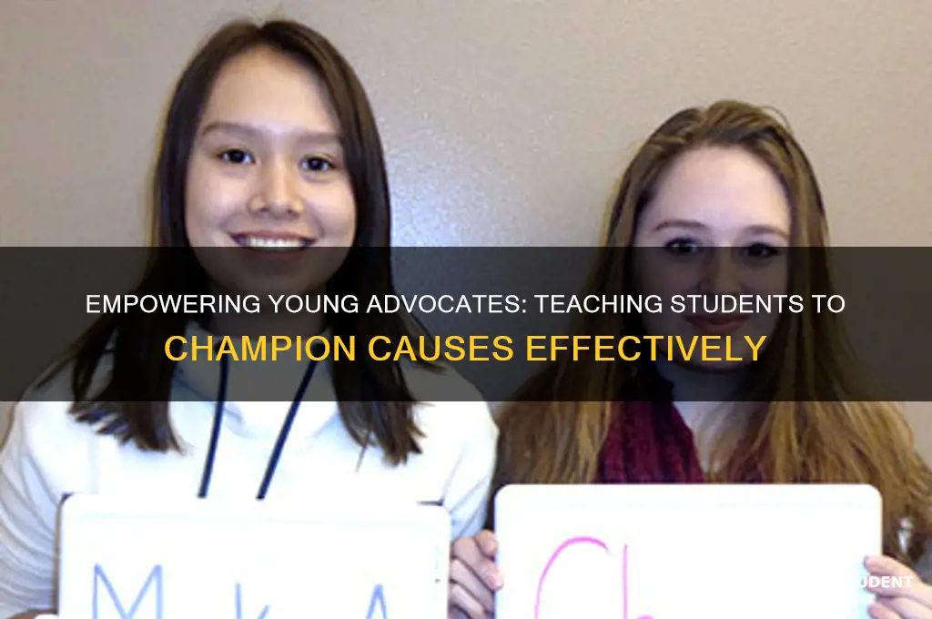 how to teach students to take up a cause