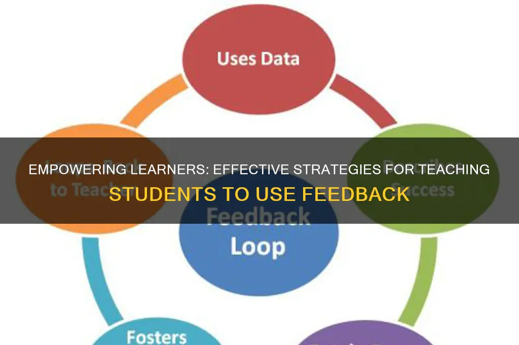 how to teach students to use feedback