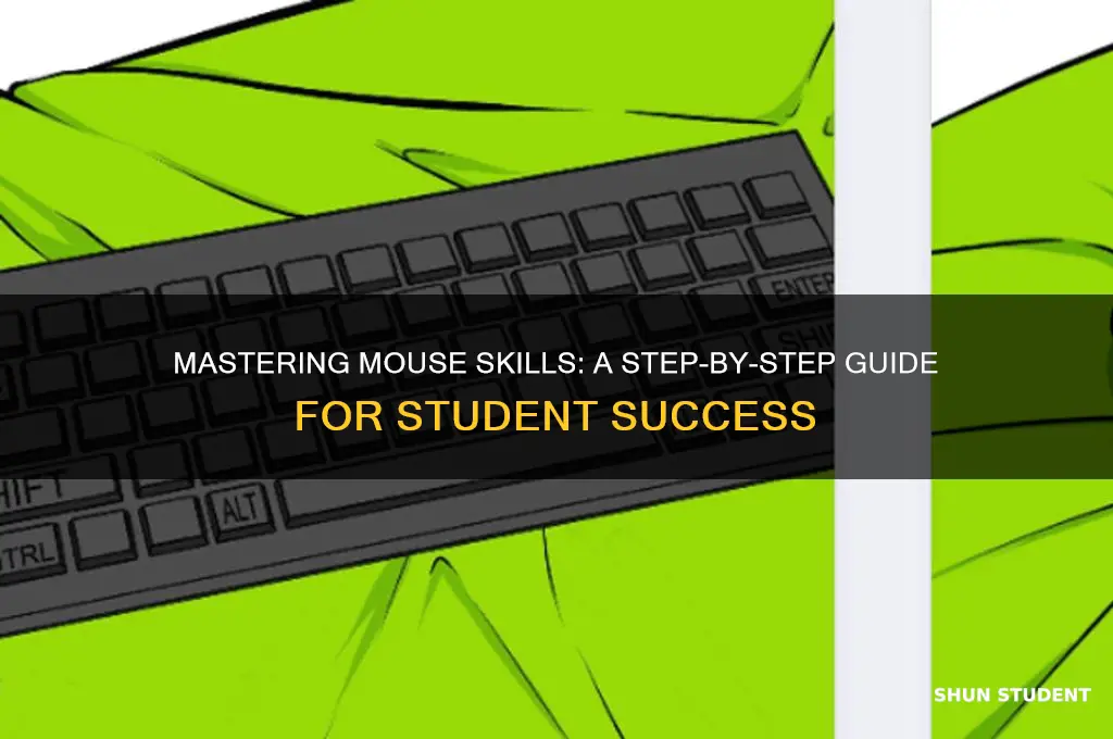 how to teach students to use mouse