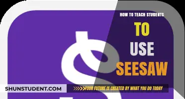 Mastering Seesaw: Effective Strategies for Engaging Student Learning