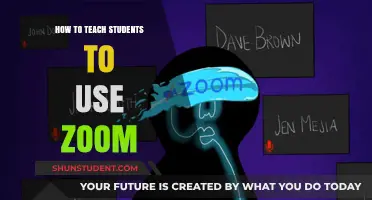 Mastering Zoom: Effective Strategies for Teaching Students Virtual Engagement