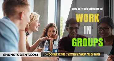 Effective Strategies for Teaching Collaborative Group Work to Students