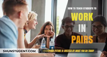 Effective Pair Work Strategies: Enhancing Collaboration in Student Learning