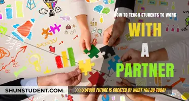 Effective Strategies for Teaching Students Successful Partner Collaboration