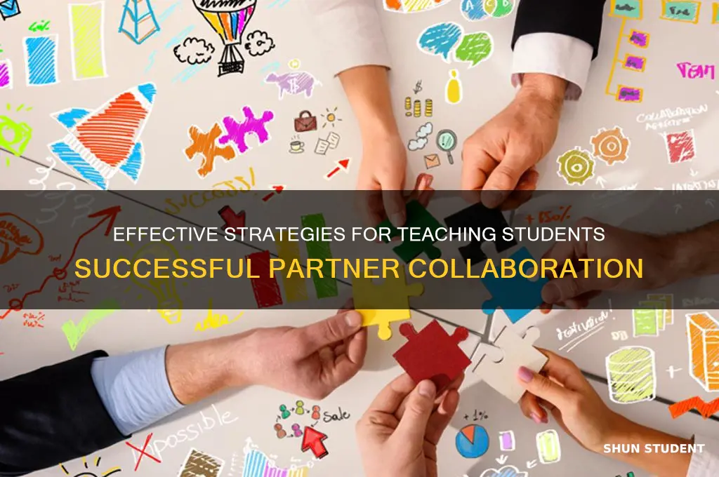 how to teach students to work with a partner