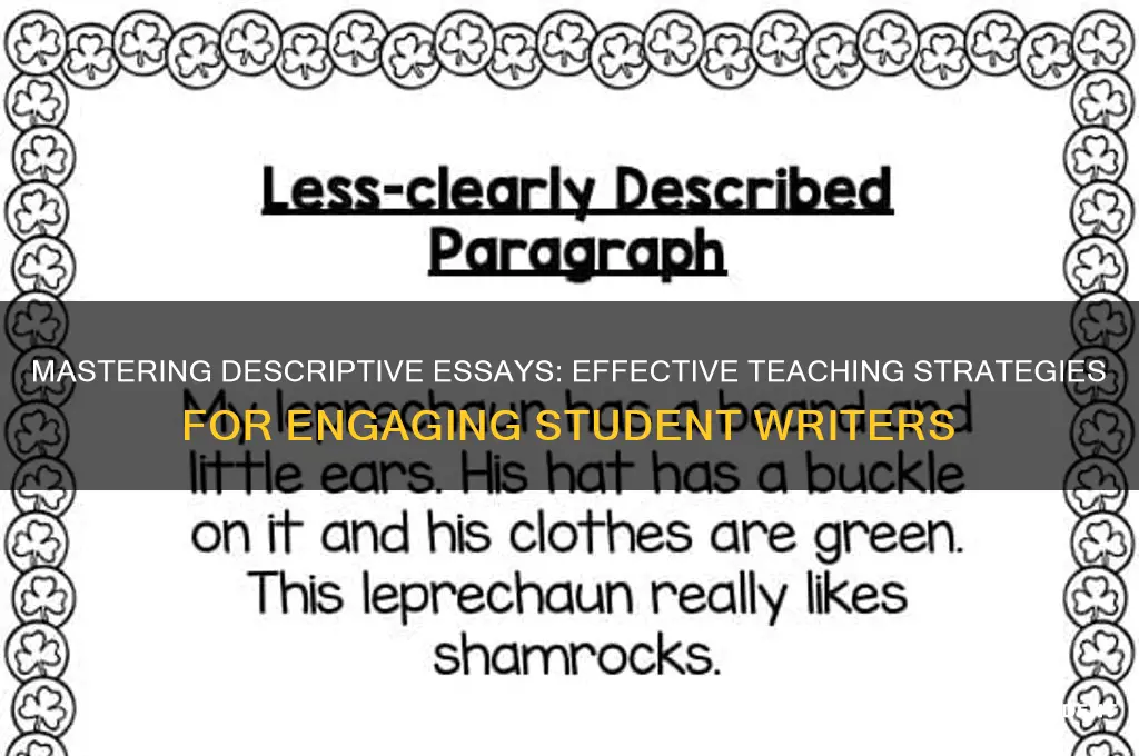 how to teach students to write a descriptive essay