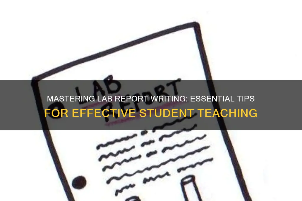 how to teach students to write a lab report