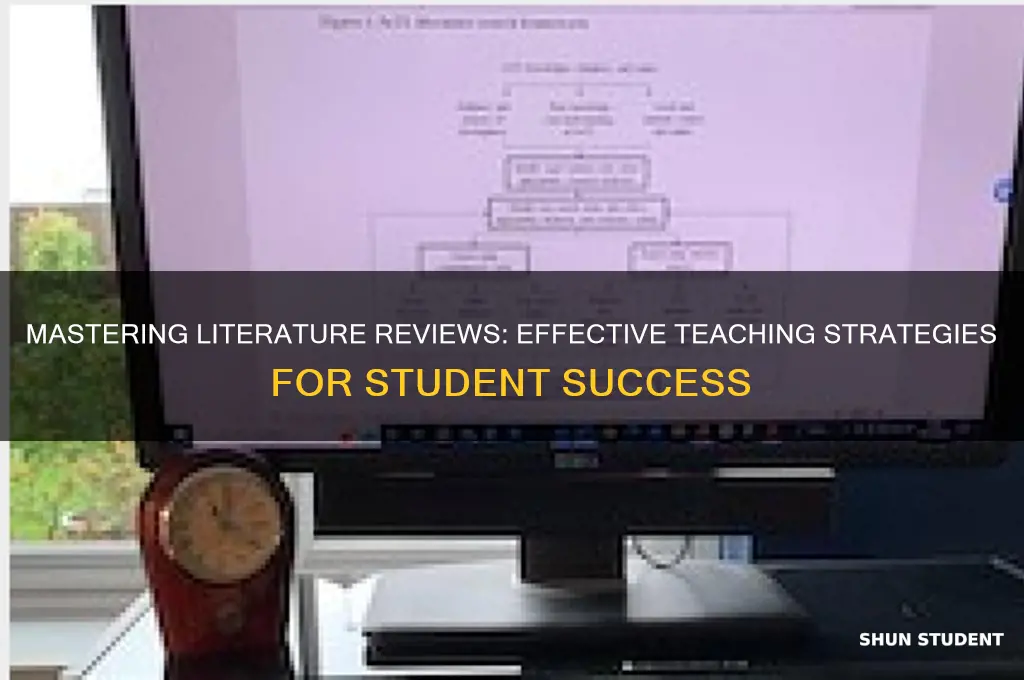 how to teach students to write a literature review