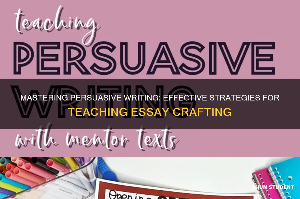 how to teach students to write a persuasive essay