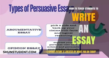 Mastering Essay Writing: Effective Strategies for Engaging Student Success