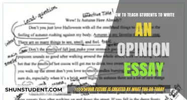 Mastering Opinion Essays: Effective Strategies for Engaging Student Writers