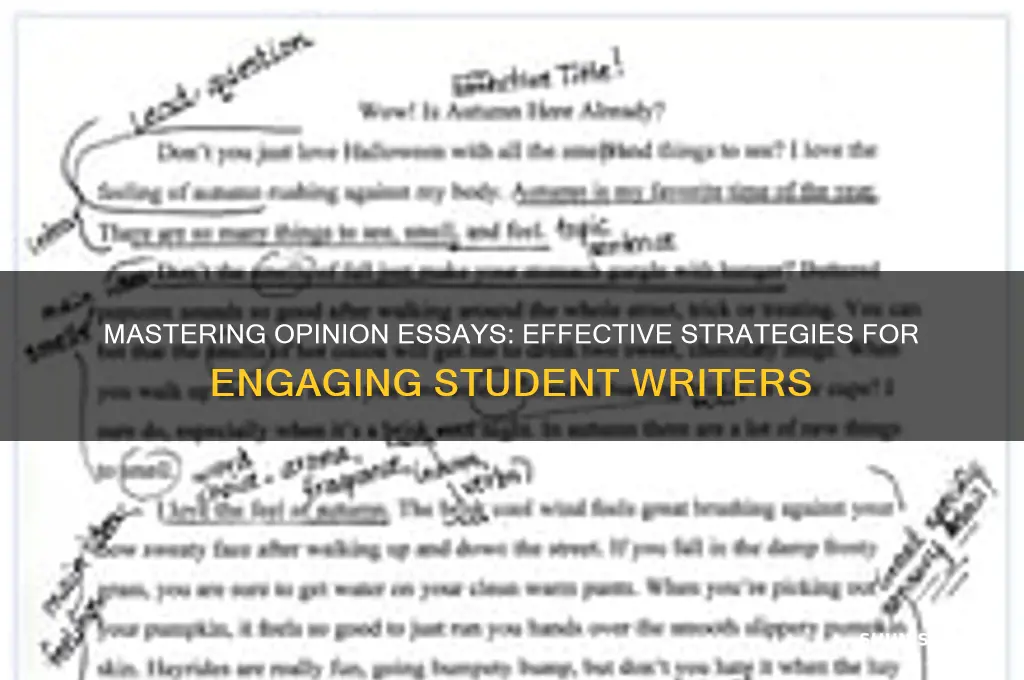 how to teach students to write an opinion essay