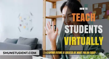 Mastering Virtual Teaching: Effective Strategies for Engaging Students Online