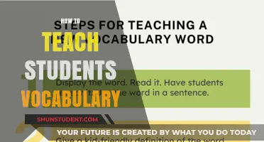 Effective Strategies for Teaching Students Vocabulary in the Classroom