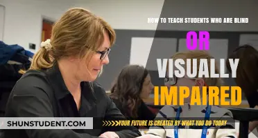 Empowering Learning: Strategies for Teaching Blind or Visually Impaired Students