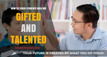 Nurturing Brilliance: Strategies for Teaching Gifted and Talented Students