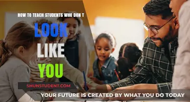 Bridging Cultural Gaps: Effective Teaching Strategies for Diverse Classrooms