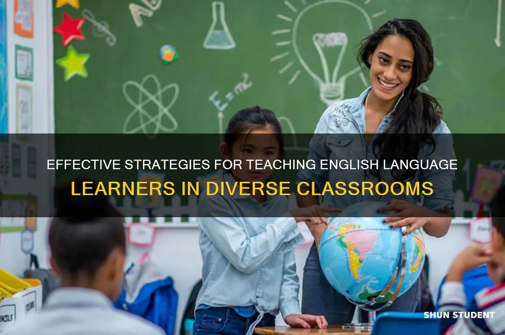 how to teach students who don t speak english