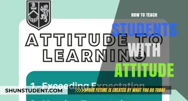 Strategies for Teaching Students with Challenging Attitudes Effectively