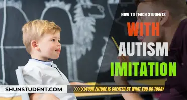 Effective Strategies for Teaching Imitation Skills to Autistic Students