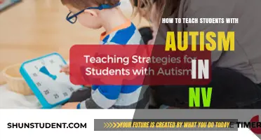 Effective Strategies for Teaching Students with Autism in Nevada