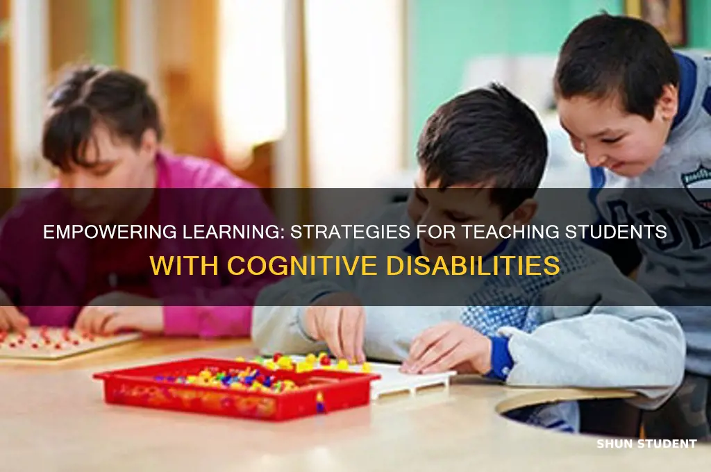 how to teach students with cognitive disabilities