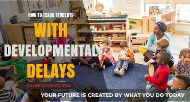 Empowering Learners: Strategies for Teaching Students with Developmental Delays