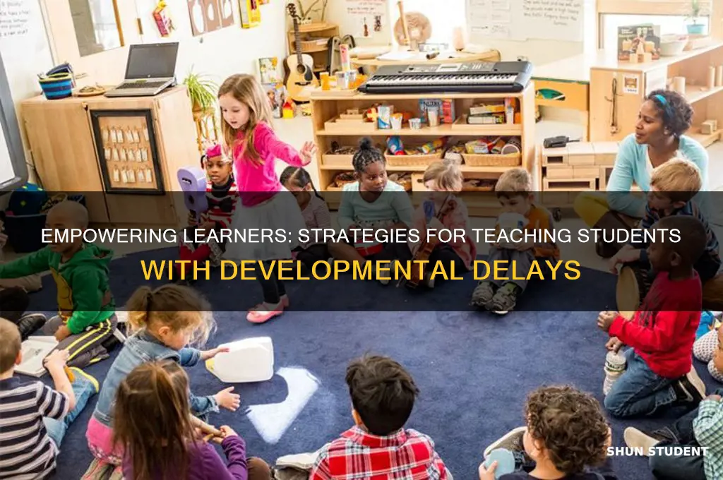 how to teach students with developmental delays