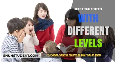 Tailoring Lessons for Diverse Learners: Strategies for Multi-Level Classrooms