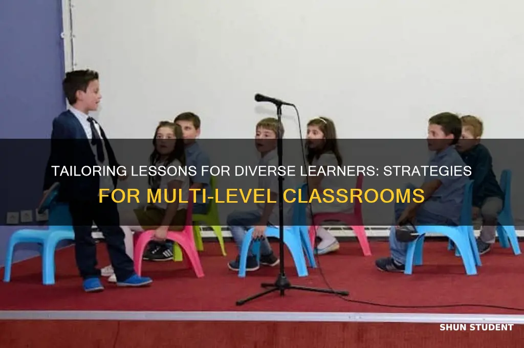 how to teach students with different levels