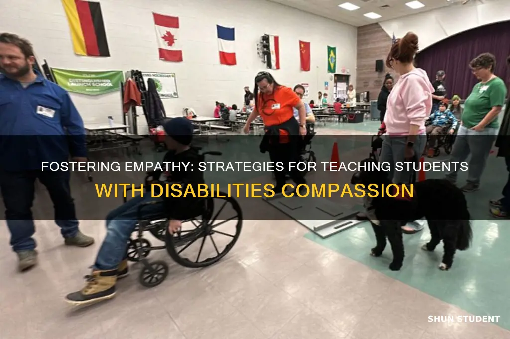 how to teach students with disabilities empathy