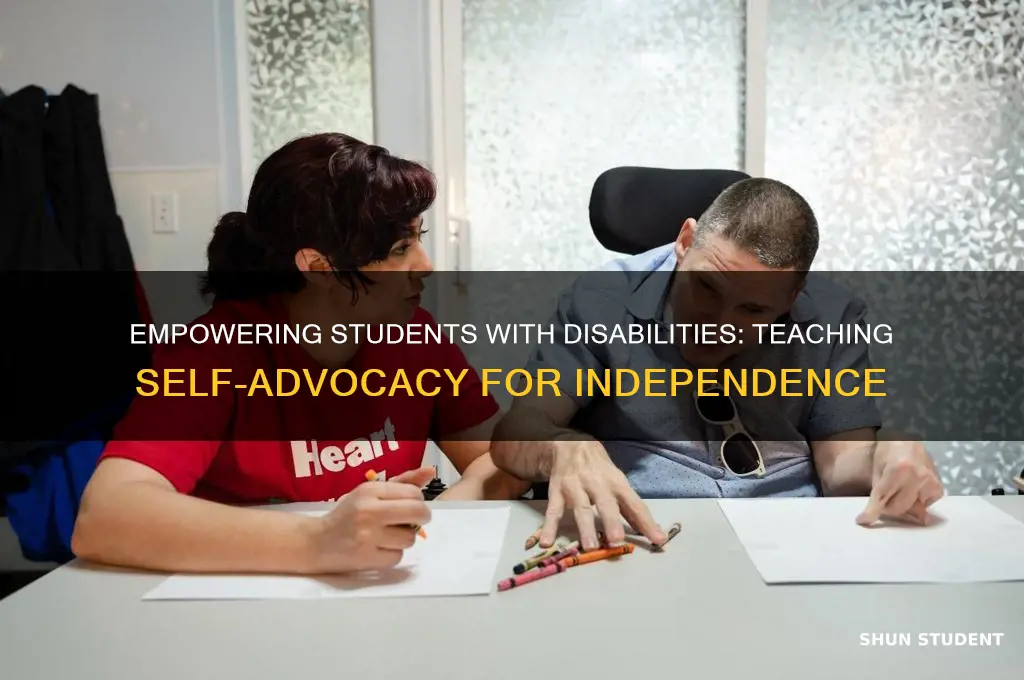 how to teach students with disabilities self advocacy skills
