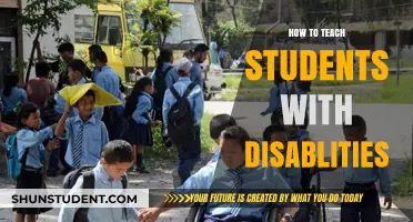 Empowering Inclusive Education: Strategies for Teaching Students with Disabilities