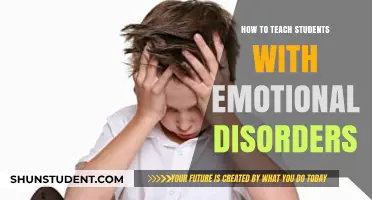 Empowering Learning: Strategies for Teaching Students with Emotional Disorders
