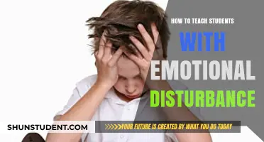 Empowering Educators: Strategies for Teaching Emotionally Disturbed Students